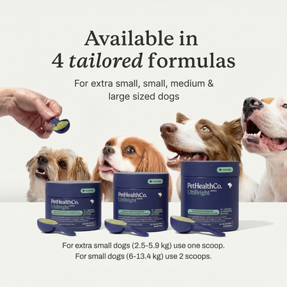 UltiBright™ Dog Dental Powder