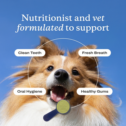 UltiBright™ Dog Dental Powder