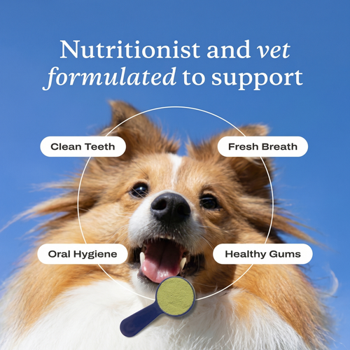 UltiBright™ Dog Dental Powder