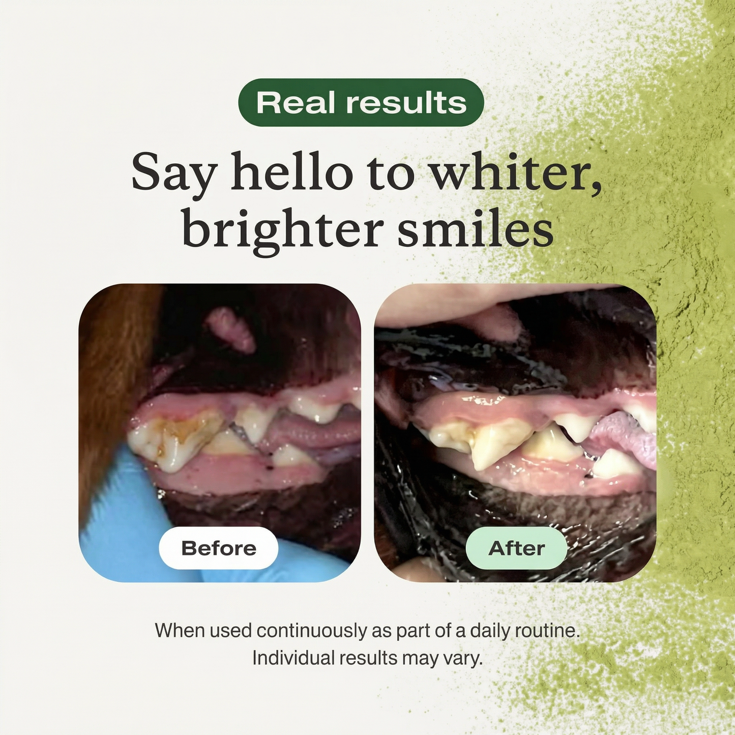 UltiBright™ Dog Dental Powder