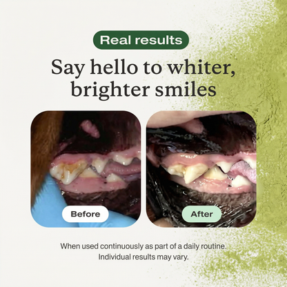 UltiBright™ Dog Dental Powder